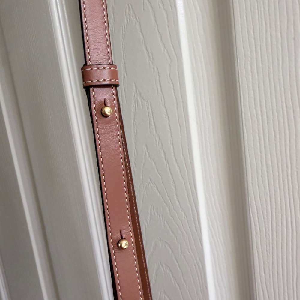 Celine Mini Triomphe - Picture 7 of 11